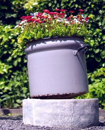 Une marmite upcyclée en pot de fleurs, slow décoration - upcycling, réutilisation d'objet